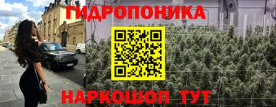 круглые Кингисепп