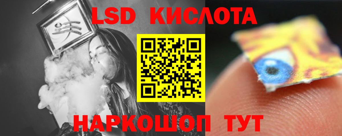 Лесной  ЛСД экстази  мега ссылка  Лсд 25 экстази кислота  Лсд 25 экстази кислота  Вход с VPN 