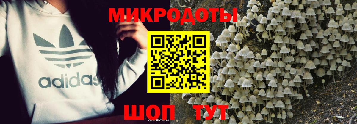 Псилоцибиновые грибы Magic Shrooms Лесной